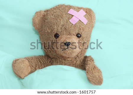 Teddy in hospital
