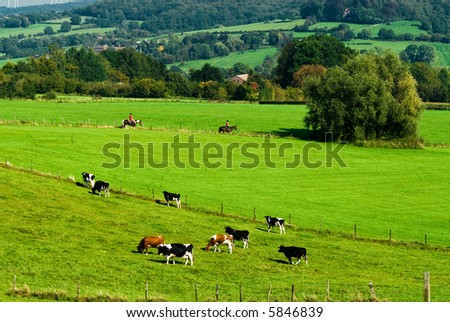 Beautiful Farmland