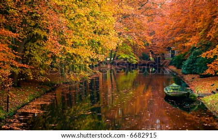 autumn colors in the forest