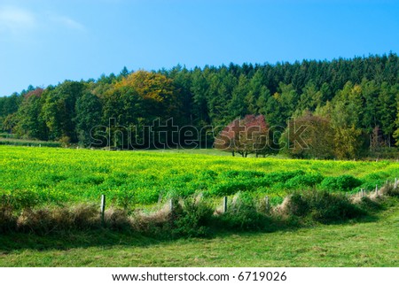 beautiful countryside landscape in belgium