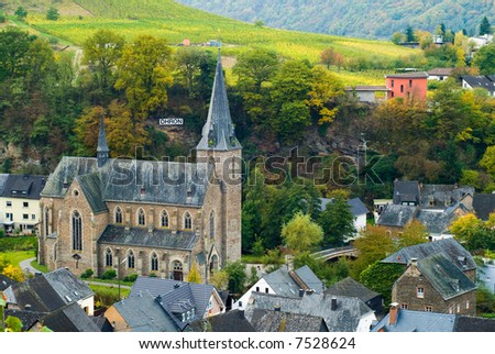 small village and vineyards along the mosel river in germany