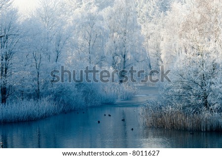 winter landscape scene and frozen trees