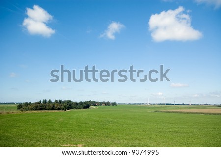 summer landscape background