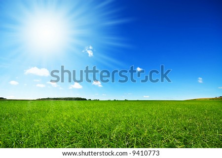 fresh green grass with bright blue sky and sunburst background