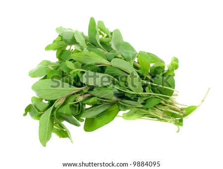 fresh marjoram herb isolated on a white background
