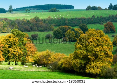 beautiful autumn country landscape in belgium (Ardennes)