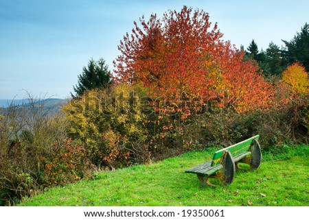 autumn view at forest along the mosel river in germany