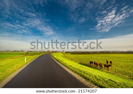 country road in the netherlands