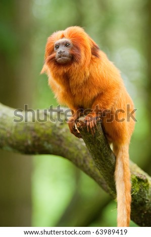 shutterstock.com shutterstock.com