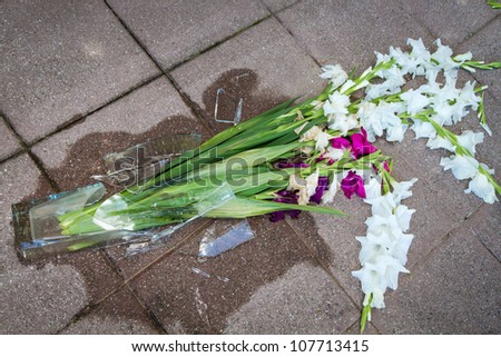 Shards of a broken vase on the floor