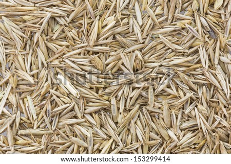 Grass seeds can be used as background