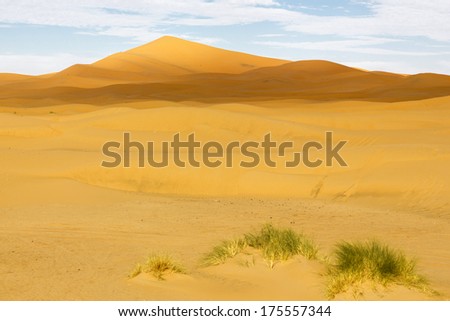 Erg Chebbi desert, Morocco, North Africa