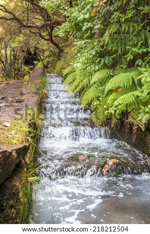 Hiking along Madeira\'s historic water supply system, Portugal