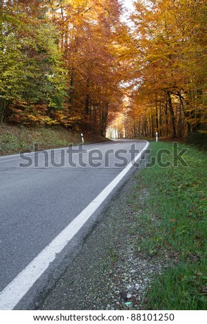 Country road in Bavaria, Germany, in autumn with colorful trees