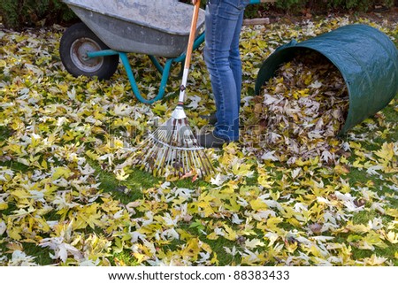 Woman raking autumn foliage