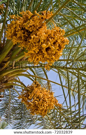 date in bahrain date in bahrain