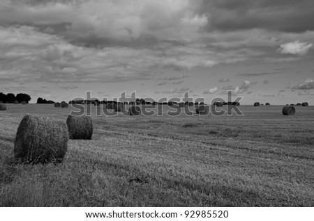hay balls in hay field in normandy, France