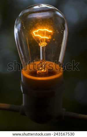 Old fashioned, original Edison style light bulb.  Turned on.