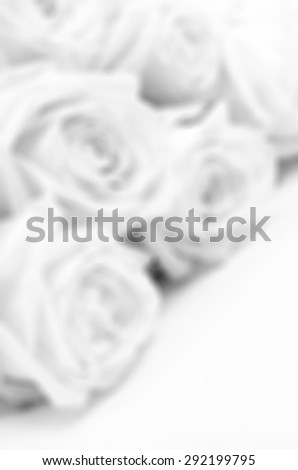 Beautiful white roses close-up in blur style can use as wedding background. Soft focus. In black and white. Retro style