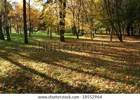 Golden autumn in Russia. In the park of Saint-Petersburg. Shades