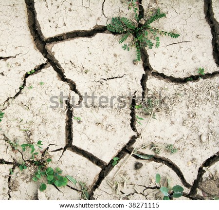 Grass on the ground with fissures texture can use as ecocatastrophe background