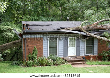 A large white oak tree falls ripping through a small house