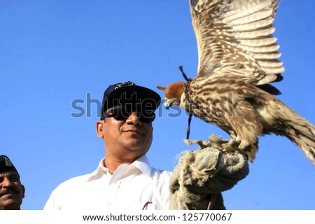 KARACHI, PAKISTAN - JAN 24: Custom officials make free falcons that seized during  smuggling from Pakistan to UAE, on January 24, 2013 in Karachi.