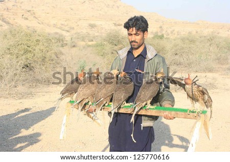 KARACHI, PAKISTAN - JAN 24: Custom officials make free falcons that seized during  smuggling from Pakistan to UAE, on January 24, 2013 in Karachi.
