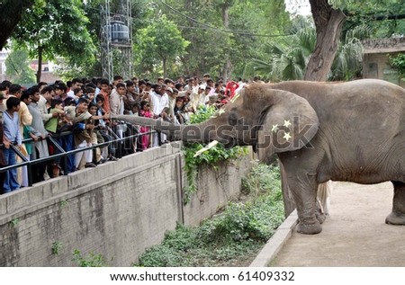 pakistan zoo