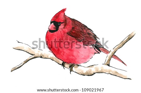 Red Cardinal Symbolism