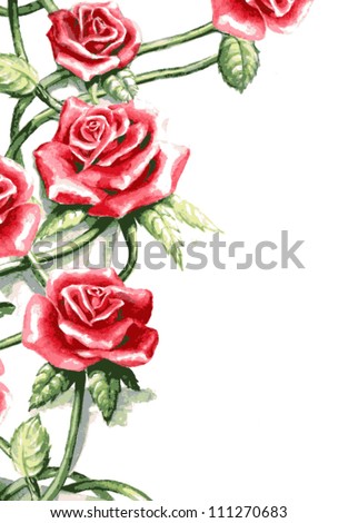 vector climbing rose watercolor painting isolated on white background red pink flower roses and green vines in abstract design illustration has blank copyspace for title text on business card poster