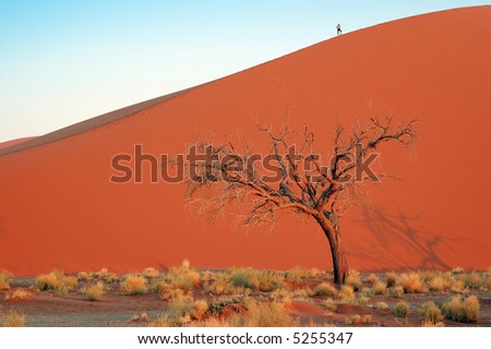 Woman silhouette on top of the red desert dune whit dead tree, Sossusvlei, Namibia