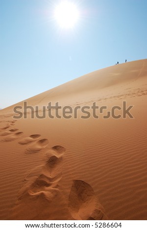 Explorer the Red dune in the Desert