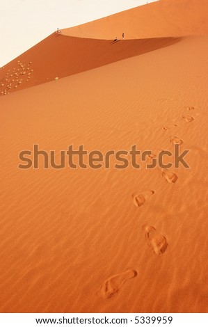foot track on the sand. Dune in the Namib Desert, Sossusvlei, Namibia