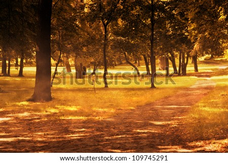 Fall, autumn park with sun shining through leaves