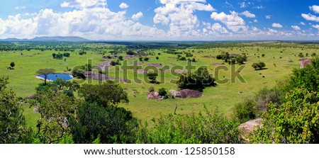 Savanna landscape panorama in Serengeti, Tanzania, Africa