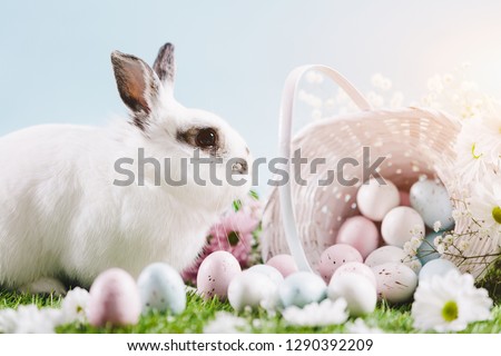 White bunny and Easter eggs and decorations on spring background. Traditional Christian holiday. Spring.