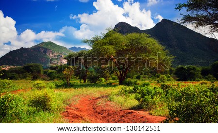 Red ground road and bush with savanna panorama landscape in Africa. Tsavo West, Kenya.