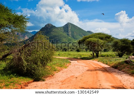 Red ground road and bush with savanna landscape in Africa. Tsavo West, Kenya.