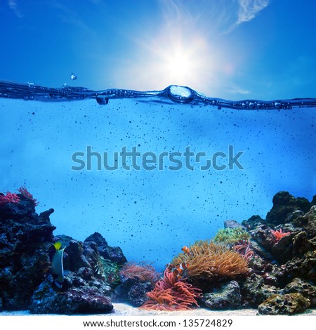 Underwater scene background. Coral reef, blue sunny sky shining through clean water. Space underwater for you to fill or just use standalone. High res