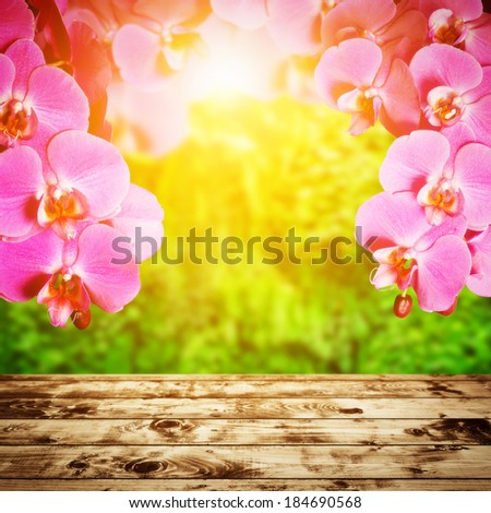 Spa, zen, wellness composition. Orchid flowers above wood rustic floor, tropical forest in sunshine light in the background