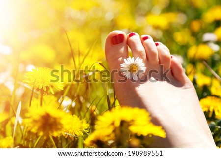 Foot of a young woman with a spring flower in fingers lying on sunny, warm meadow. Happiness, harmony, wellness, relaxation concepts.
