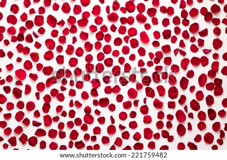 Red rose petals background, pattern. Perfect for wedding design, Valentine\'s Day, anniversary etc.