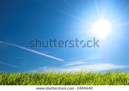 stock photo : Fresh green grass on bright blue sunny sky background