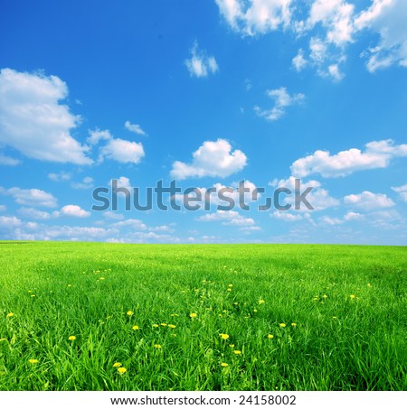 sunny skies wallpaper. and blue sunny sky spring