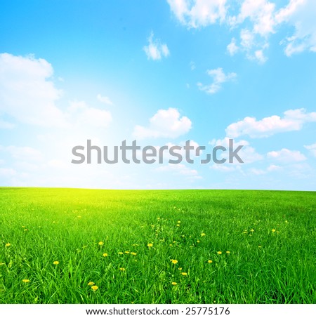 stock photo : Green grass and blue sunny sky spring landscape.