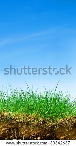 Ground, grass, sky. Cross section of three elements of nature. Vertical