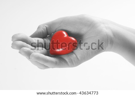 love heart in hands. stock photo : Heart in hand