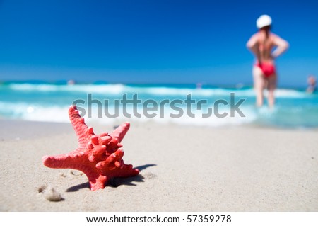 Red starfish on sunny tropical beach