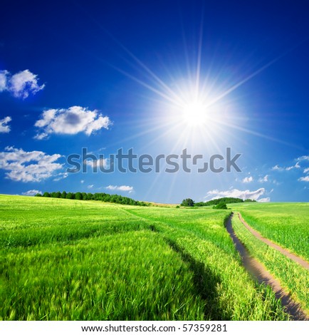 Summer rural landscape with sunny blue sky
